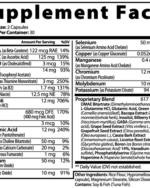 Mindful Brain & Focus